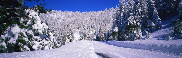 Panoramic Winter Landscape