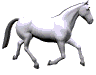 Beyaz At