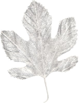Leaf with snow