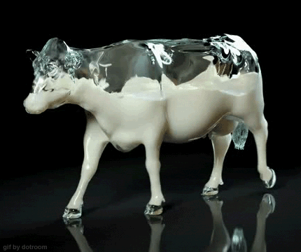 Süt deposu yürüyen inek