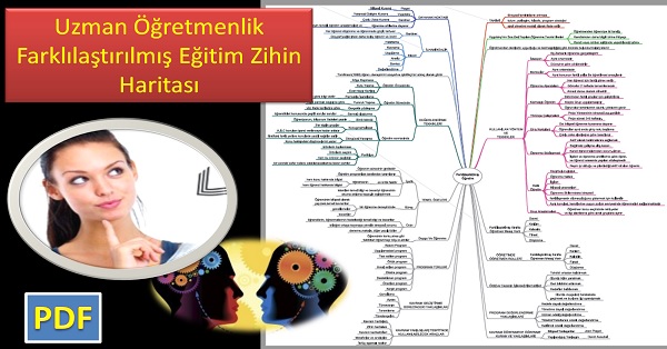 Uzman Öğretmenlik Farklılaştırılmış Eğitim Zihin Haritası