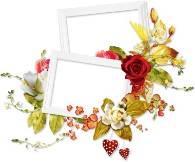 Frame with white and red roses
