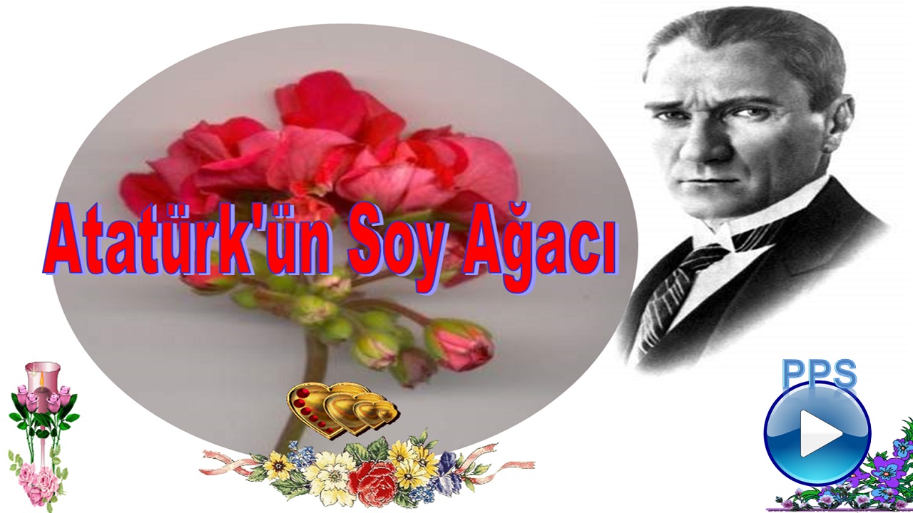 Atatürk ün soy ağacı