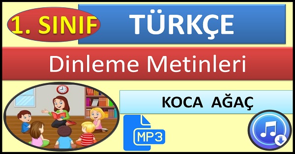 1.Sınıf Türkçe Dinleme Metni Koca Ağaç Mp3  Bilim ve Kültür Yayınları.