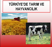 Türkiye de tarım ve hayvancılık 03