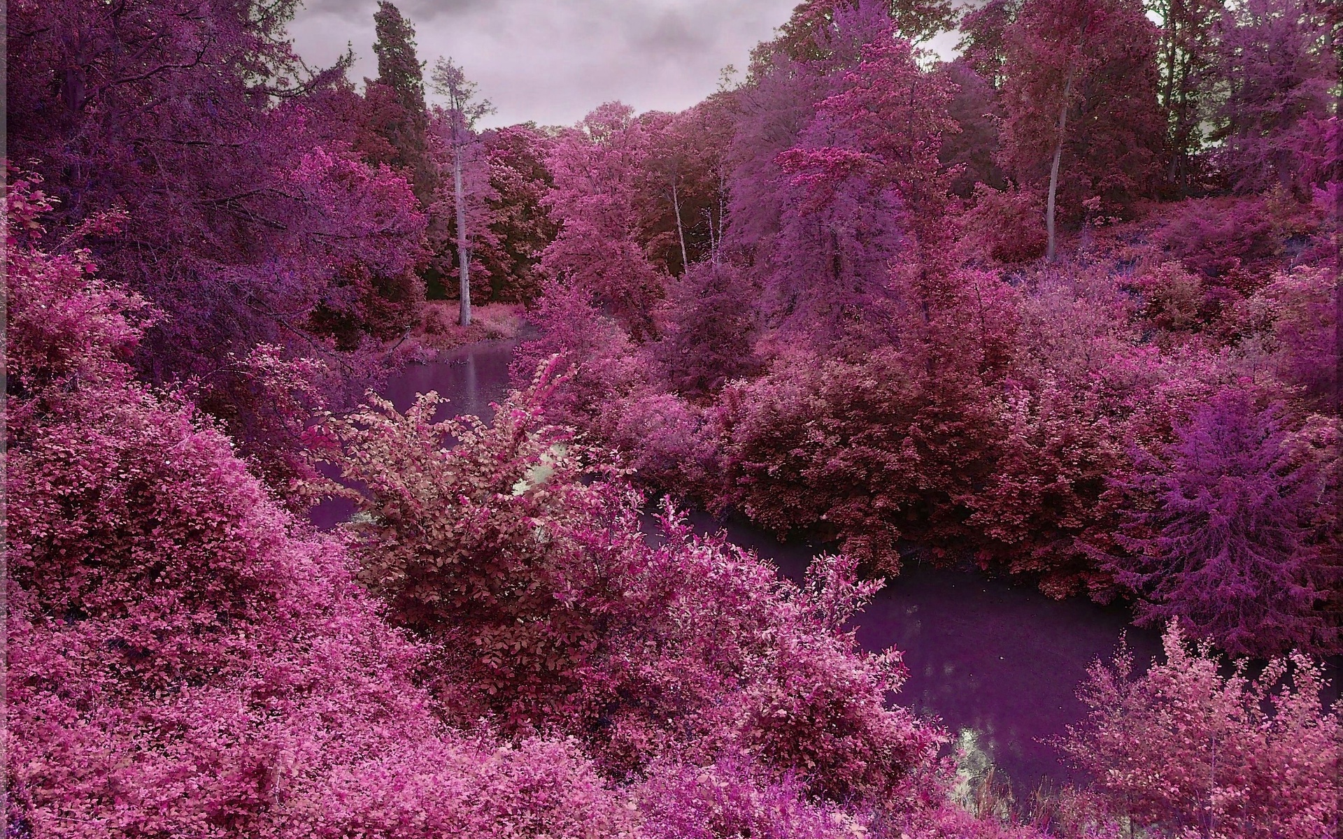 Natural Landscape