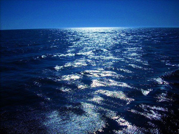Sea Landscape