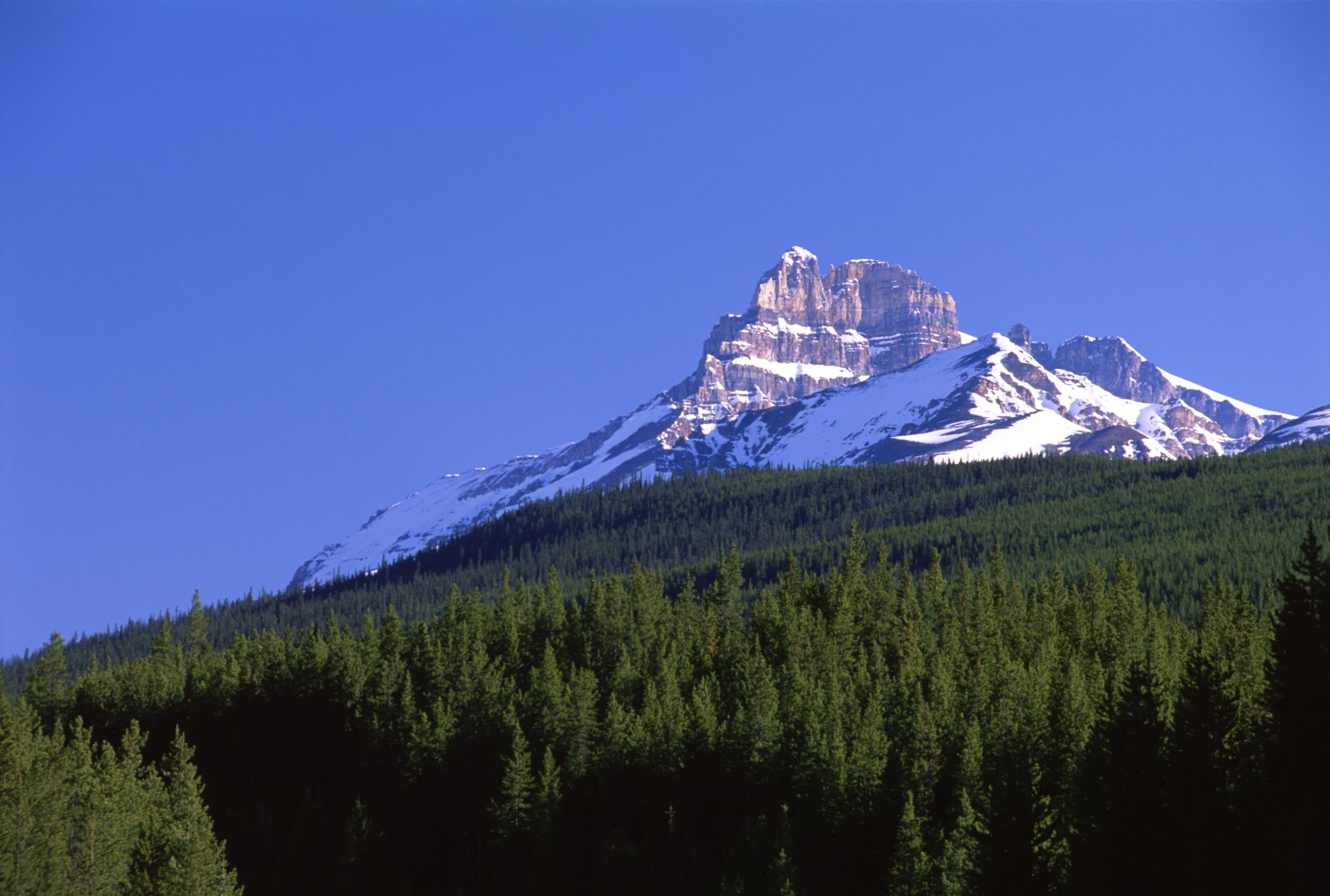 mountain Landscape
