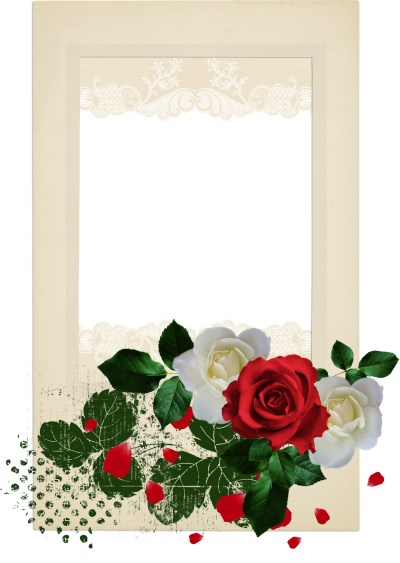 Red and white roses with frame