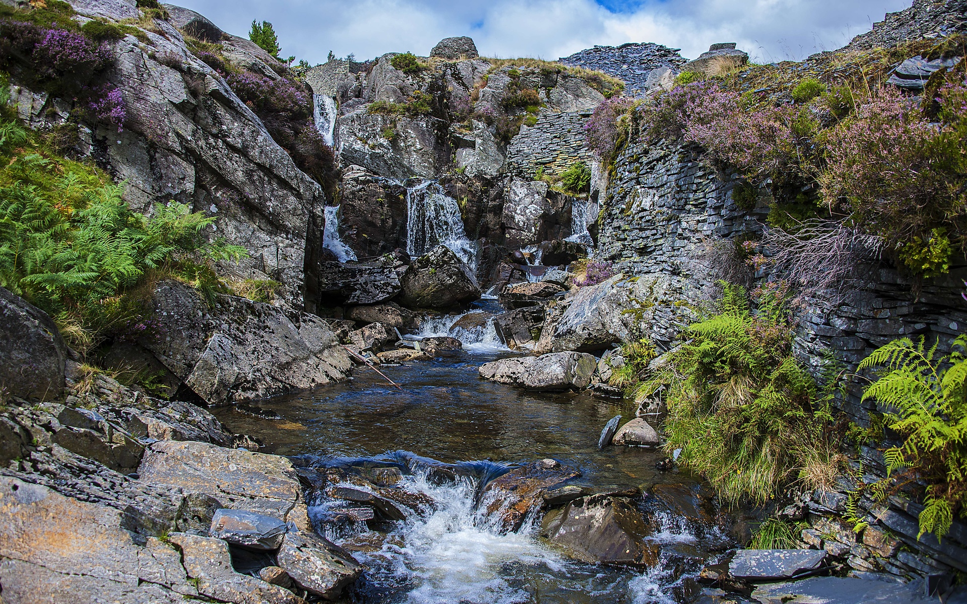 Natural Landscape