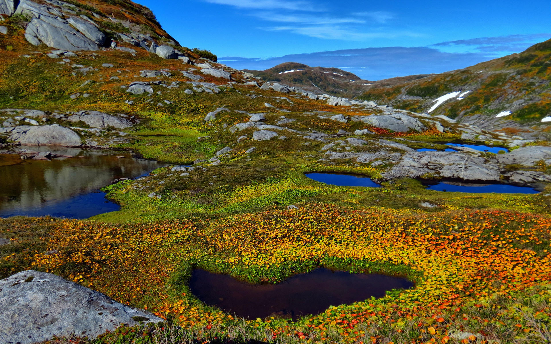 Natural Landscape