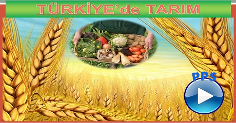 Türkiye'de Tarım