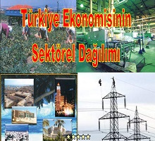 Türkiye ekonomisinin sektörel dağılımı