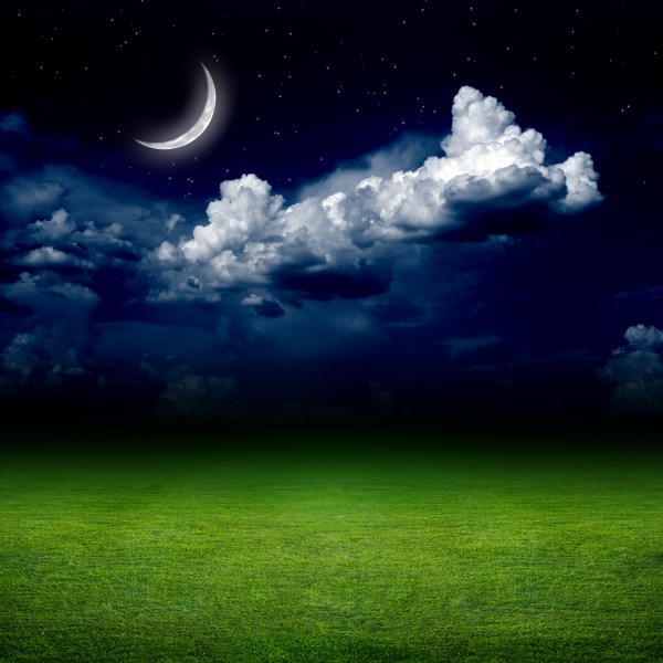 Night scene in the moonlight