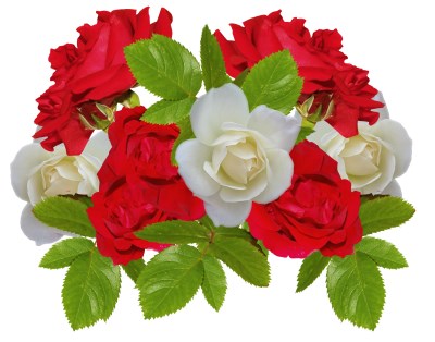 Red and white rose bouquet