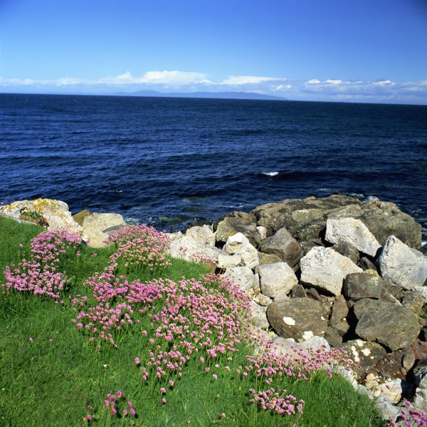 Sea Landscape