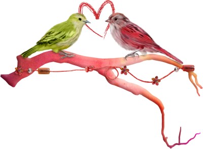 Birds with Heart