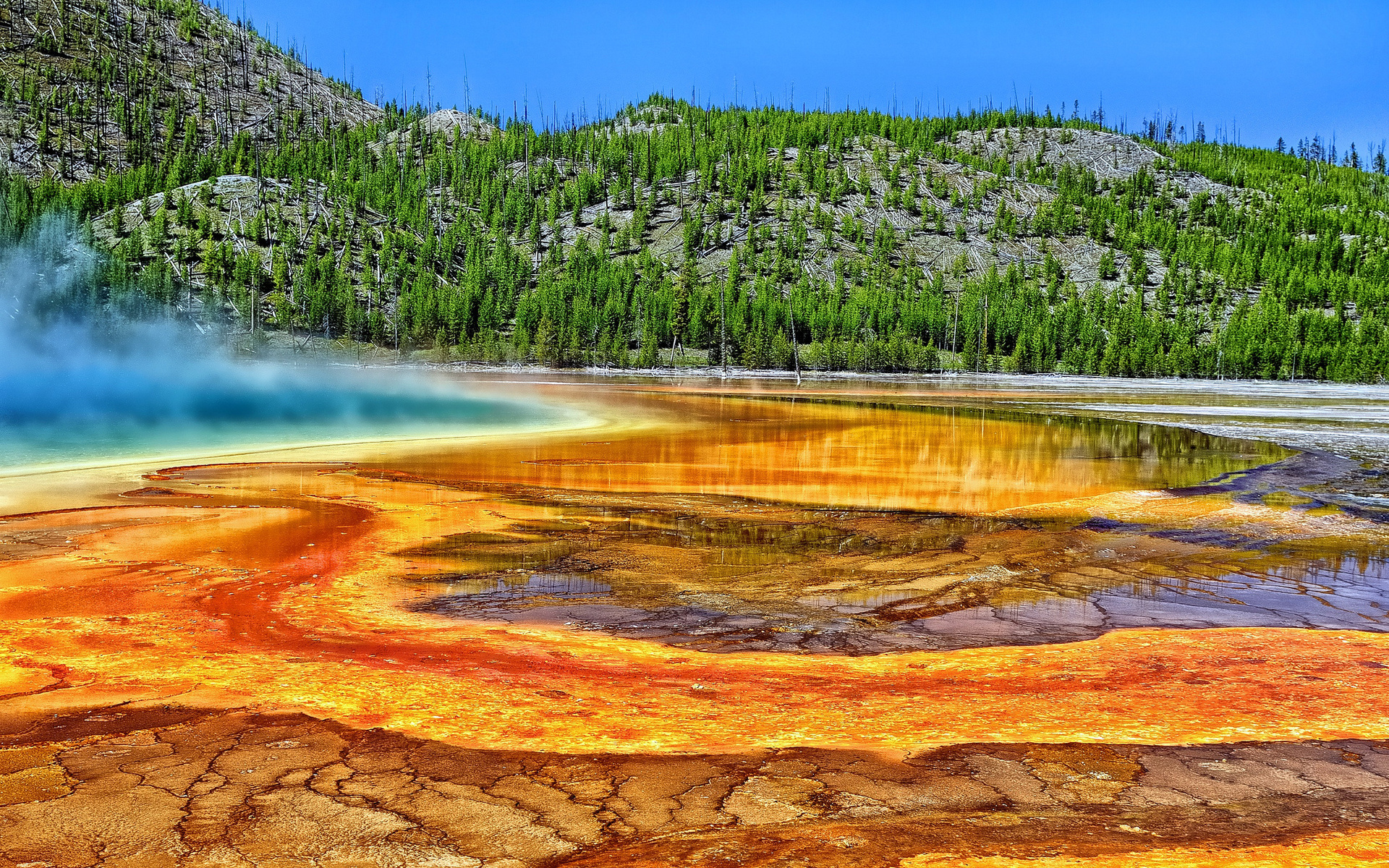 Natural Landscape