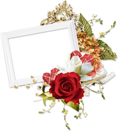 Frame with white and red roses