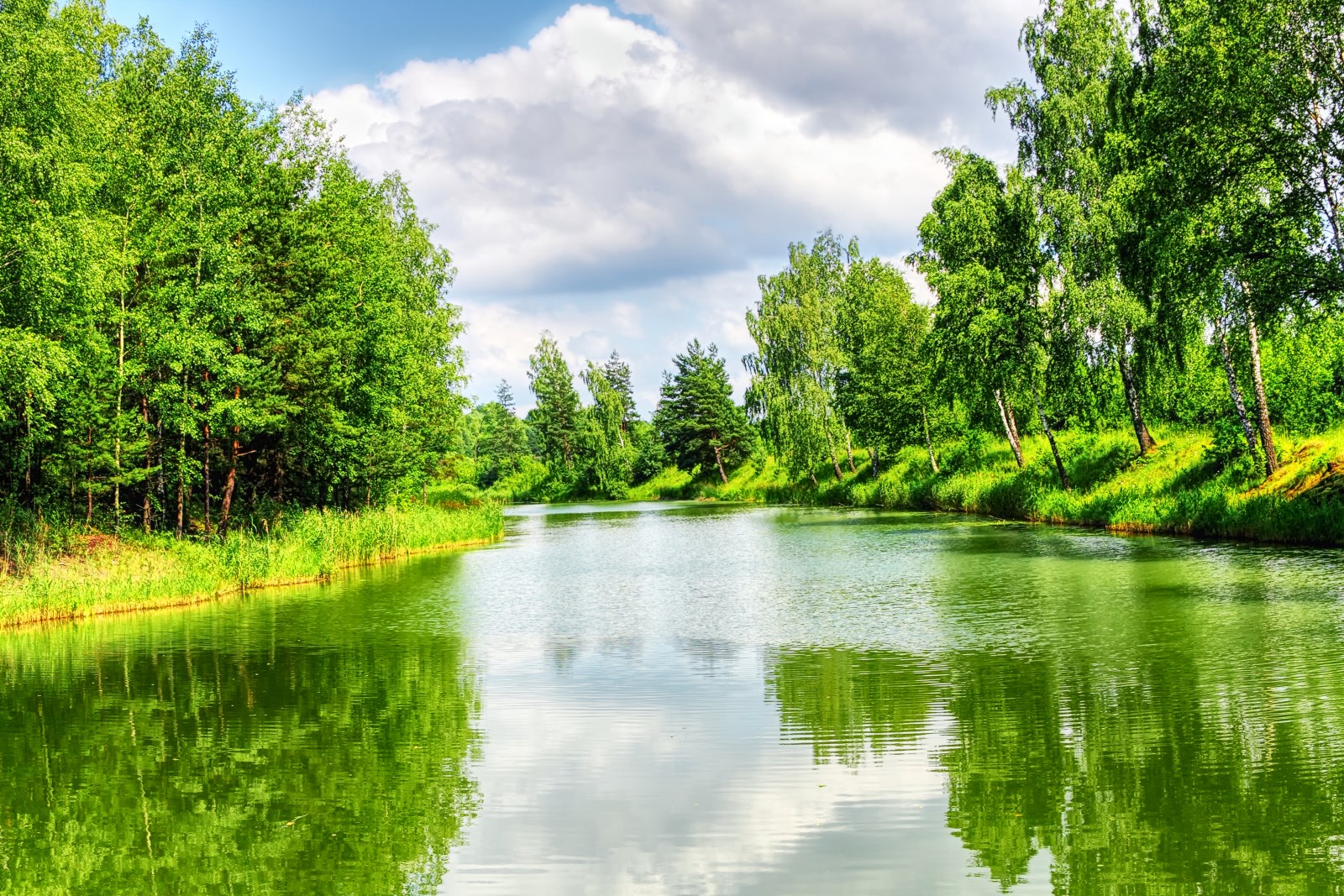 природа река деревья облака nature river trees clouds без смс