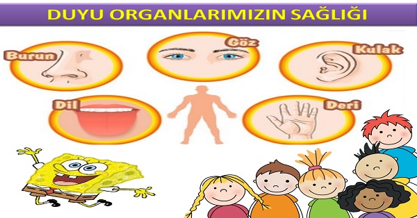 Duyu Organlarımızın Sağlığı