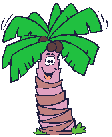 Komik palmiye ağaçı
