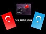 Gül Türkistan
