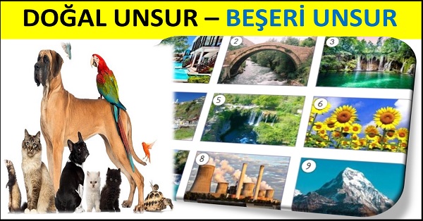 4.Sınıf Sosyal Bilgiler Doğal ve Beşeri Unsurlar